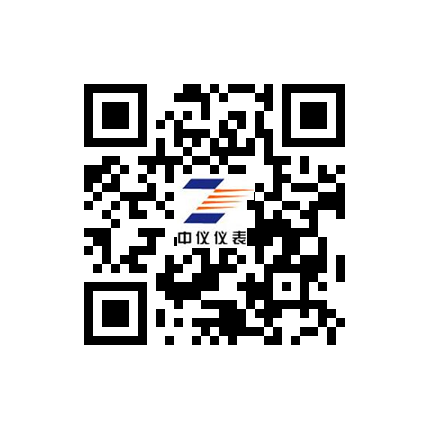 江蘇中儀儀表集團有限（xiàn）公司